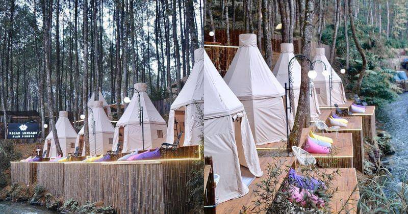 Instagram.com/reganluxcamp